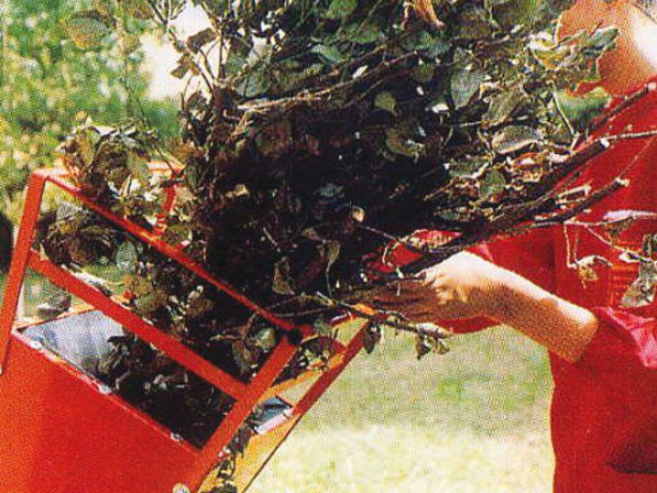 CARAVAGGI BIO 80H combihakselaar benzine - Afbeelding 3